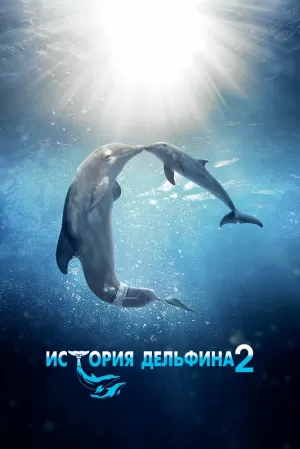 История дельфина 2 (2014) скачать торрент