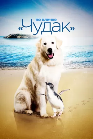 По кличке «Чудак» (2015) скачать торрент
