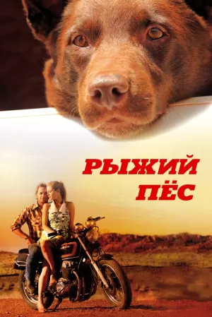 Рыжий пес (2011) скачать торрент