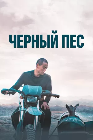 Чёрный пёс (2024) скачать торрент