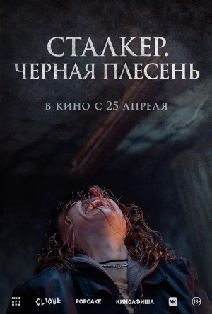 Сталкер. Черная плесень (2023) скачать торрент