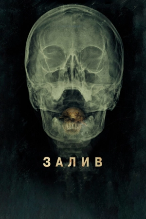 Залив (2012) скачать торрент