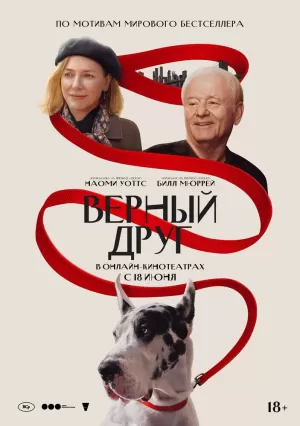 Верный друг (2024) скачать торрент