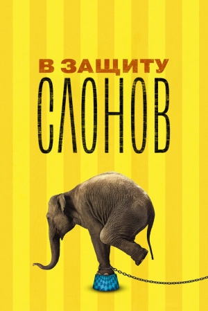 В защиту слонов (2013) скачать торрент