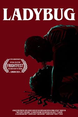 Божья коровка (2024) скачать торрент